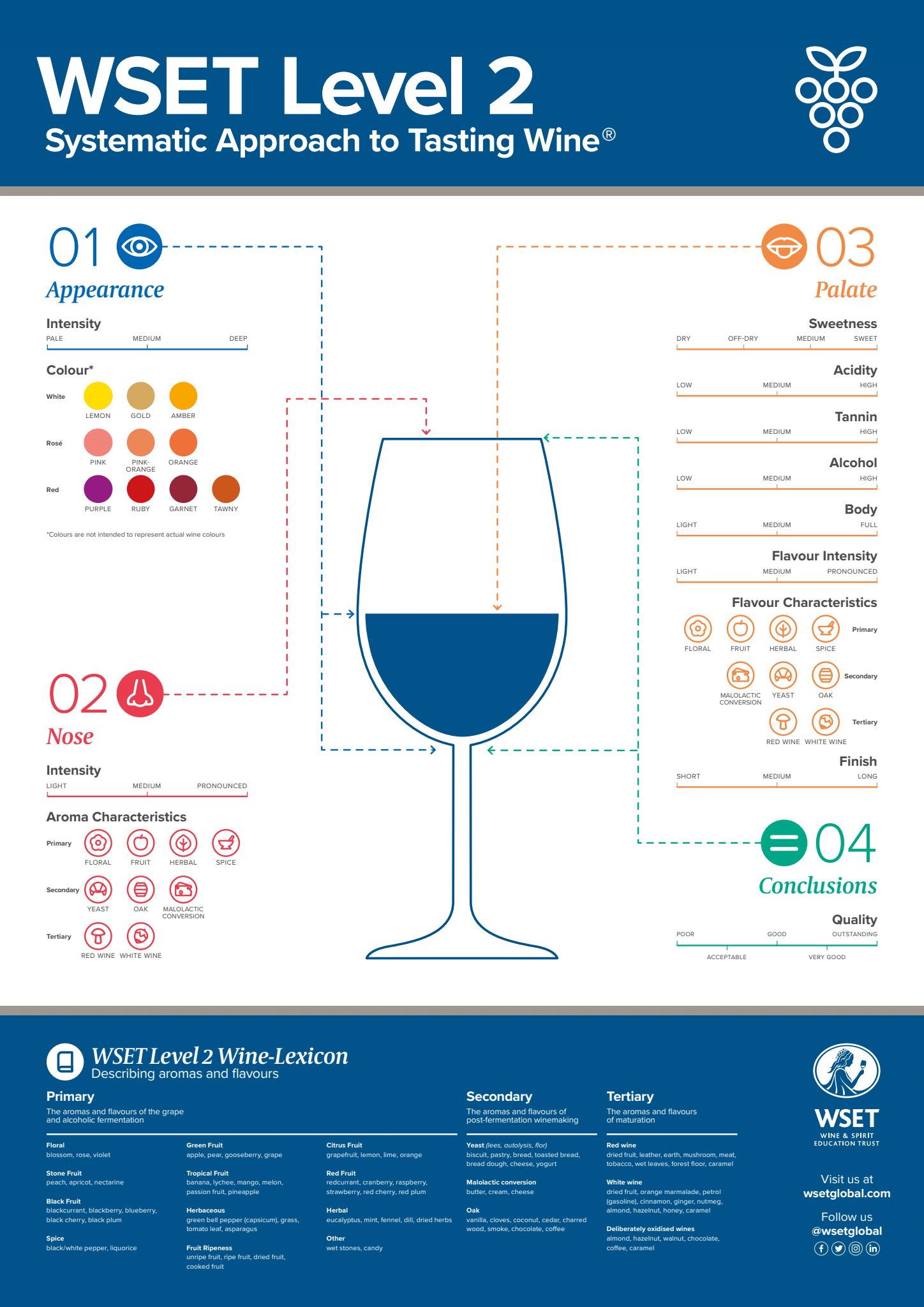 WSET Level 2 SAT Systematic Approach to tasting Infographic